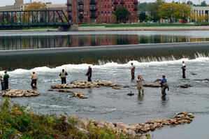 fishing