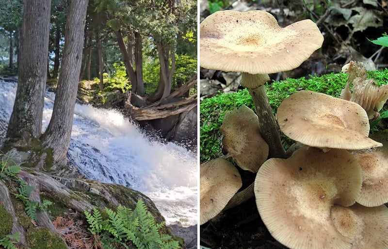 IndianTrails-blog_crystal-falls