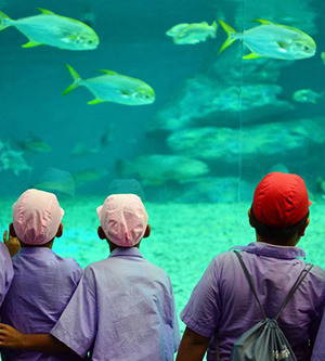Aquarium