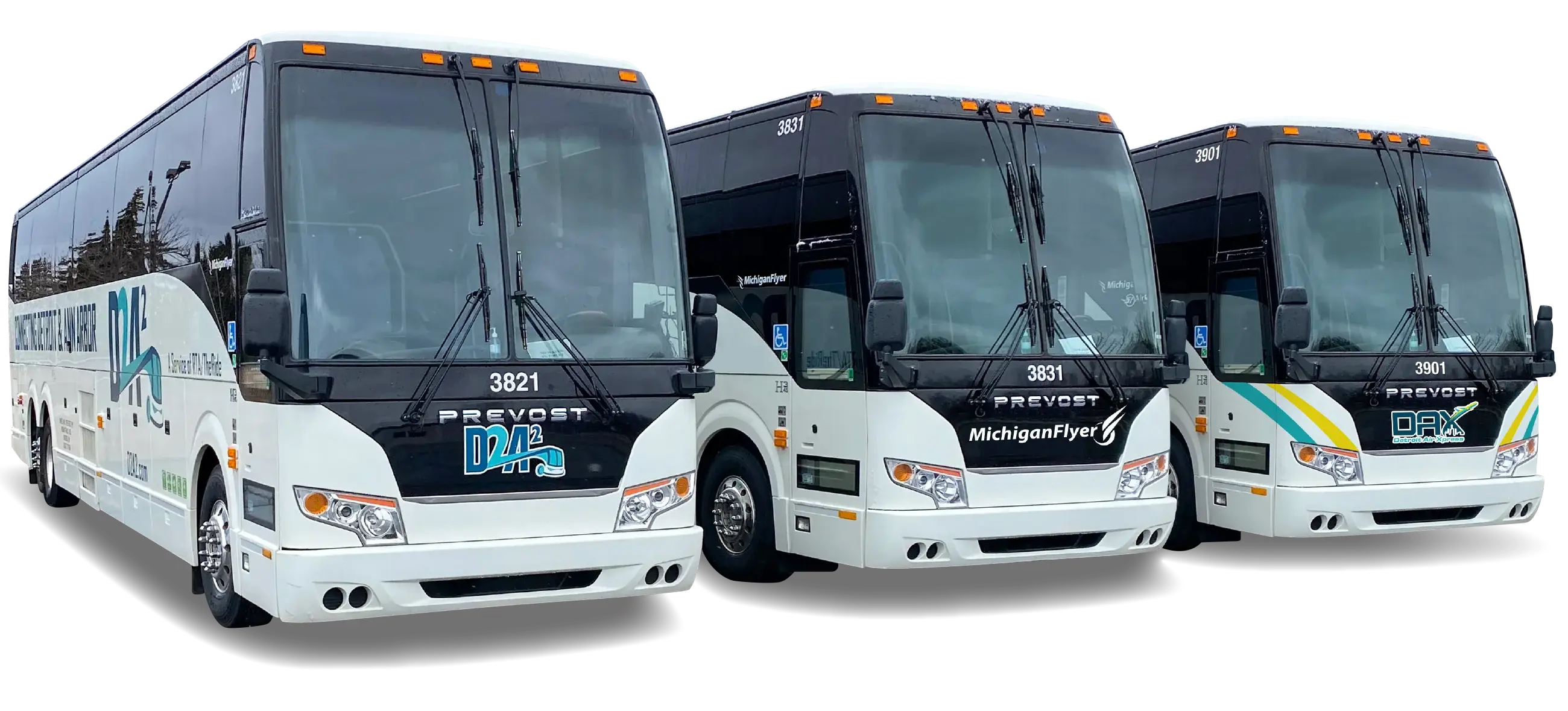 Shuttle Buses